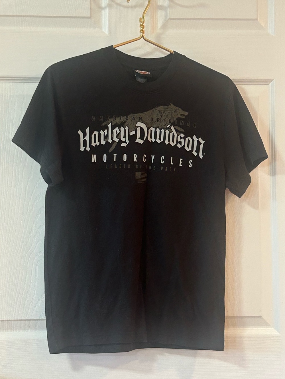 Harley-Davidson Graphic Logo T-Shirt